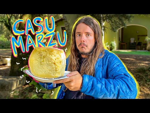 mangio il formaggio illegale con i vermi 🐛