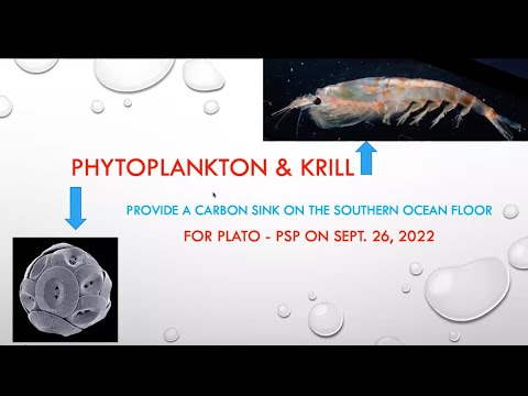 Pathways to a Sustainable Planet Fall 2022: Phytoplankton and Krill