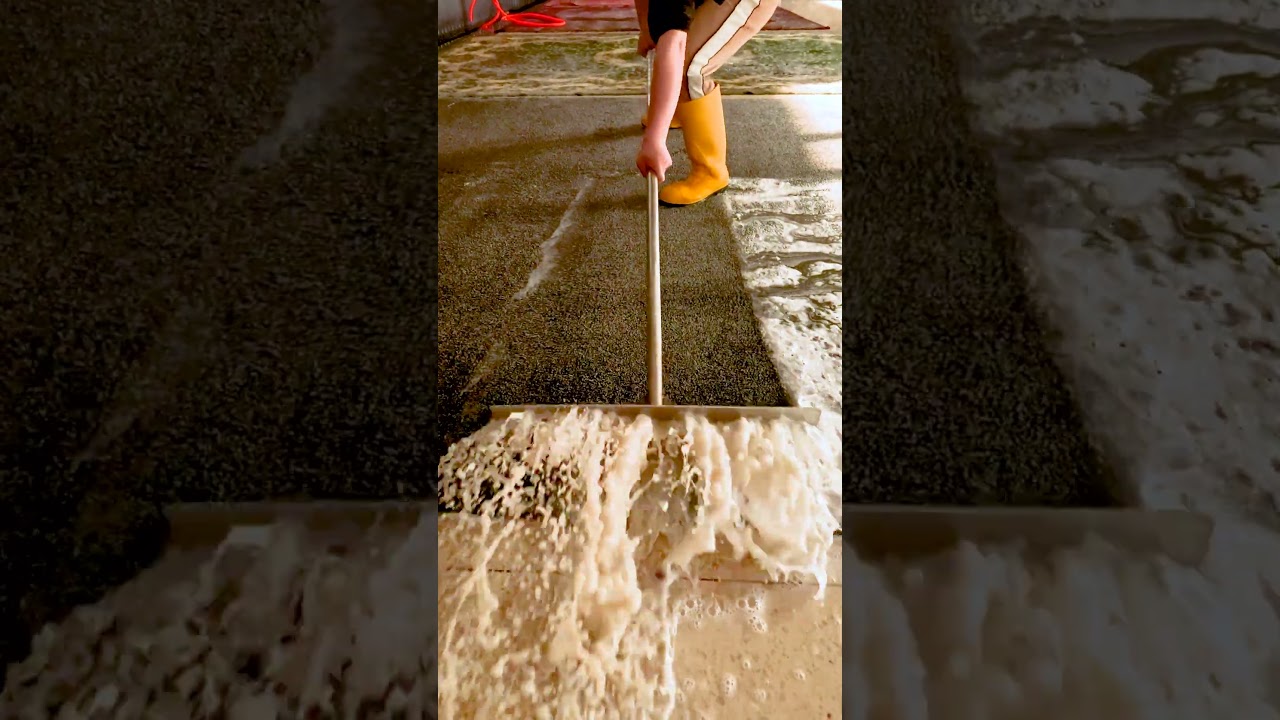 asmr foam scraping #satisfying