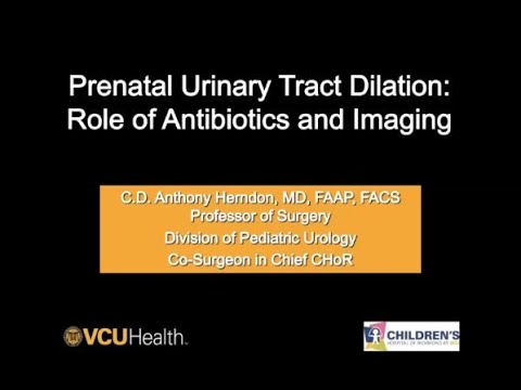 5.7.2020 PedsUroFLO Lecture - Prenatal Urinary Tract Dilation: Role of Antibiotics and Imaging