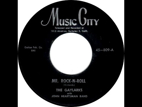 GAYLARKS  MR ROCK n' ROLL