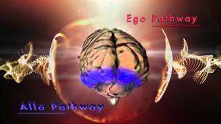 Creative Process, Brain Pathways for Self  (Egocentric) and Other (Allocentric)