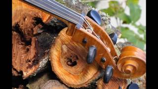 Vivaldi: Cello Sonata RV43, largo