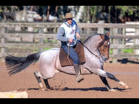LOTE 16 - GUANABARA SALADERO