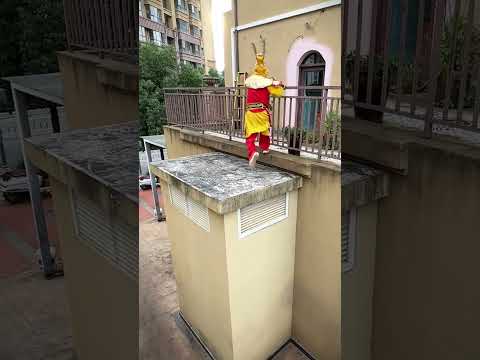 Monkey's sarcasm is still the most powerful! #Experts are among the people# #Parkour#