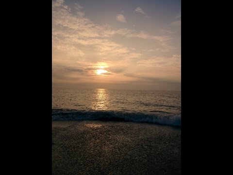 Gilbere Forte + Sean Rose - All For You Feat. Selina Carrera