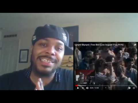Baby Dyce Reacts to - Lynyrd Skynrd "Free Bird" 1976