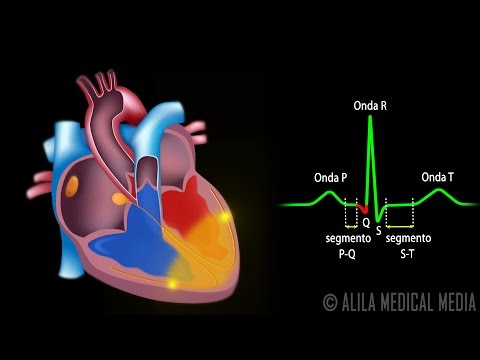 Heart Conduction System and ECG, Animation. Alila Medical Media Portuguese.