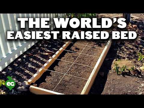How to Build Cheap, DIY Raised Garden Beds In Under 30 Minutes