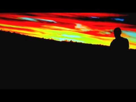 Hazard Penguin - November rain