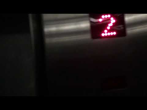 Reach us - Dr Adel Zakhary - مصر الجديدة طبيب اسنان - دكتور عادل زخارى - الخليفة المامون