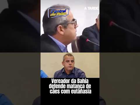 Vereador da Bahia defende matança de cães com eutanásia