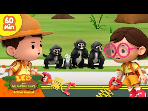 🐒 No Monkey Business! 🙈  Apes, Gorillas & more! 🦍 | Leo the Wildlife Ranger | Kids Cartoons