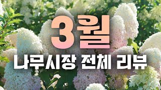식물쇼핑오기전 다같이 리스트 작성해보자구요~! 나무시장 전체 리뷰!