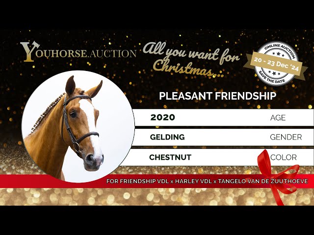 Pleasant Friendship