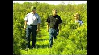 preview picture of video 'SAVOR INDIANA Remarkable RANDOLPH County Part 6 of 7 - Sickels Tree Farm'