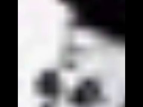 Axel Schlimper - Wir Rufen Deine Wölfe