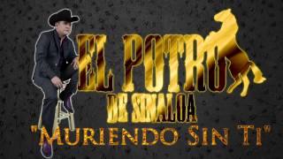 Muriendo Sin Ti- El Potro De Sinaloa 2014