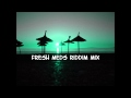 Fresh Medz Riddim Mix 2013+tracks in the description