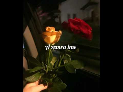 Emin & Argjend Aliu - tfala nga gurbeti (lyric video )***