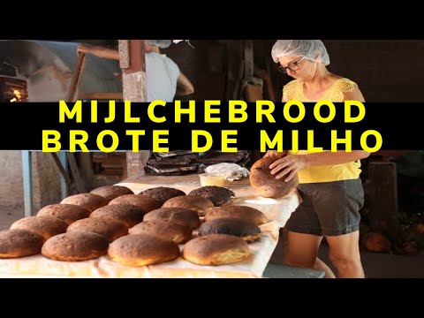 Mijlchebrood (Brote de milho)