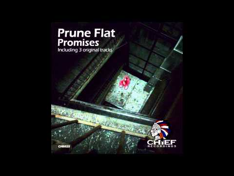 Prune Flat -  Peasants (Original Mix) preview