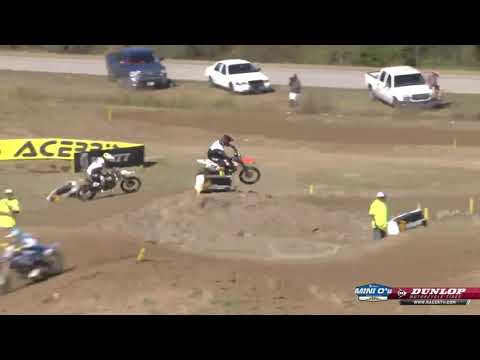 2019 Mini O's MX - 450 B Limited