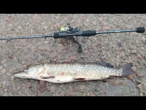 Спиннинг ОKUMA  PSYCHO - PERCH,  1 - 8г,  230см. Тест - драйв)  #рыбалка