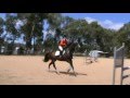 Murray PC Show Jumping Day Dec 2013 95cm And 1 05