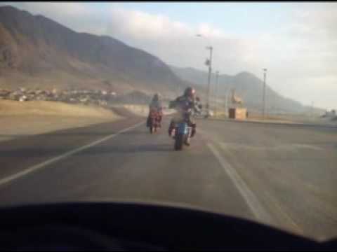 peyote mc Chanaral 2009