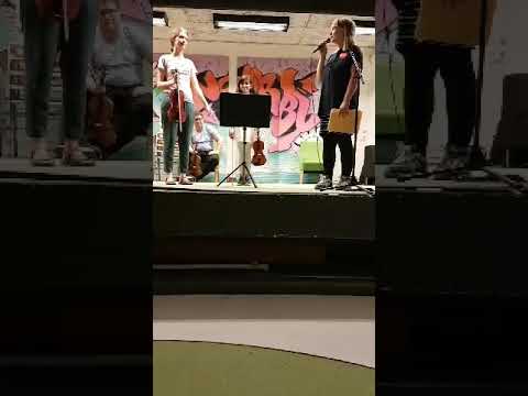 Se mig spela fiol 🎻🎵🎼