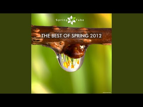 Circles (Sezer Uysal pres. Spennu Remix)