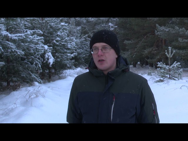 Мамадышские лесники переходят на усиленный режим работы