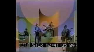 Lovin' Spoonful Only Pretty, What a Pitty Live