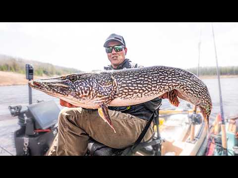 Simple Technique To Catch BIG Pike!
