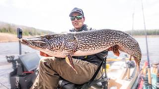 Simple Technique To Catch BIG Pike!