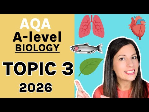 TOPIC 3 AQA A-level Biology - Learn the entire topic. Gas Exchange, Digestion and Mass Transport