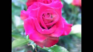 RICHARD CLAYDERMAN - ROMEO AND JULIET.MP4