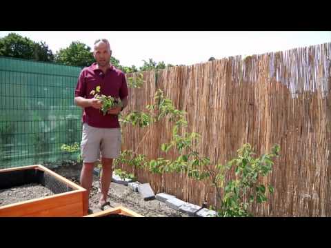 HDZ 09 2015 Úžitkovo- oddychová záhrada HDZ 09 2015 Úžitkovo- oddychová záhrada