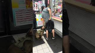 Service dog #servicedog #petlover #petshorts #doglife #doglove #subscribe #trueline #funny ￼