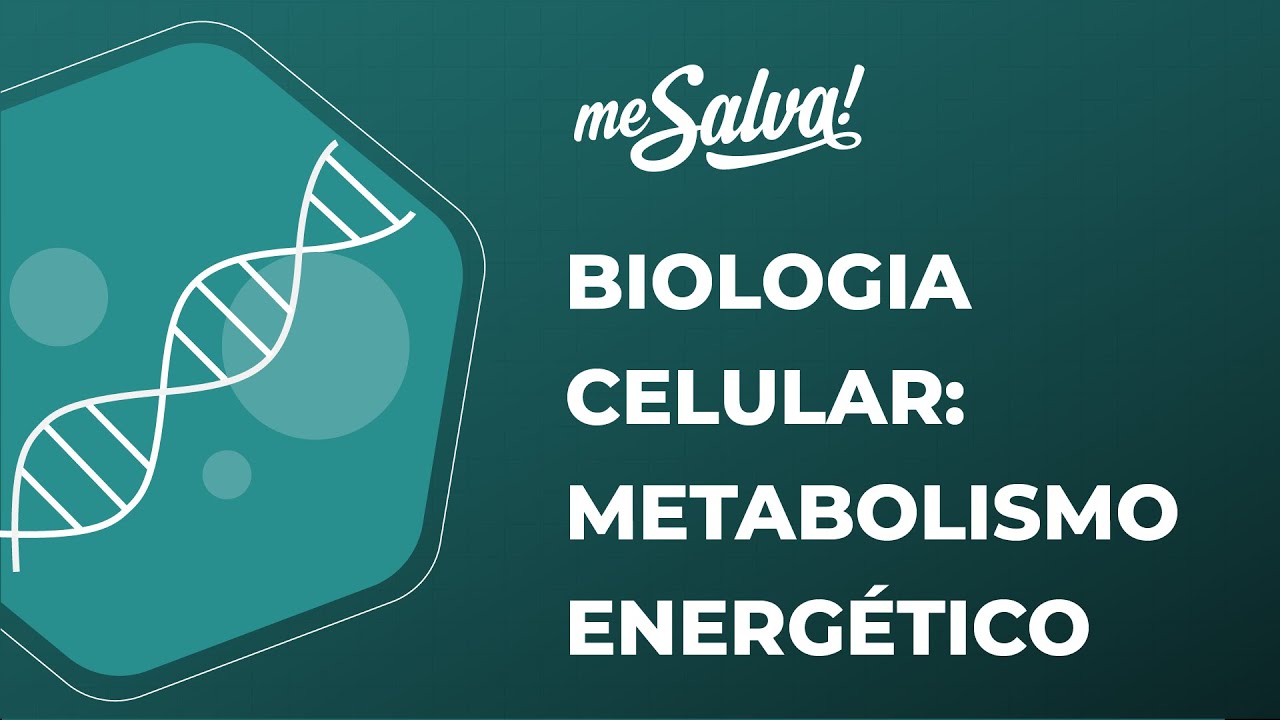 Biologia Celular – Metabolismo energético  - Biologia Básica - Me Salva! Saúde