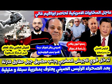 رسميا تبون يغادر رئاسة الجزائر المخـ،ابرات الامريكيه تحـ اصر غالي السيسي يجـ لد الكـ ابرنـ؛ات و الصي