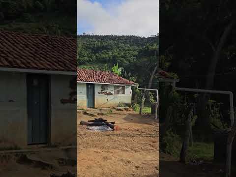 Bandeirinha Município de Almenara MG