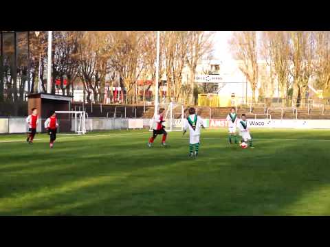 Samenvatting DHC F4 - RKAVV F3