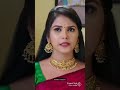 Karthika Deepam Serial Fame Shourya And Nirupam Video Maanas