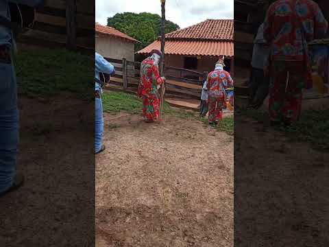 Folia de Reis São Miguel Arcanjo