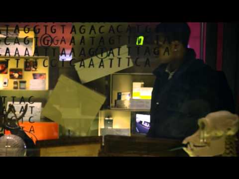 Day Out (Whittakers)