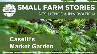 Caselli's Market Garden, Small Farm Stories: Resilience and Innovation