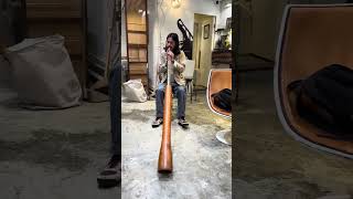 Download lagu Yidaki Didgeridoo #asalato #kasata #drumming #асалато #kashaka mp3 Download lagu Yidaki Didgeridoo #asalato #kasata #drumming #асалато #kashaka mp3