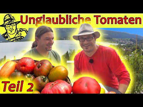 , title : 'Gartenrundgang beim Tomaten-Profi Teil 2: Wir testen die besten Sorten aus dem Tomatengarten'